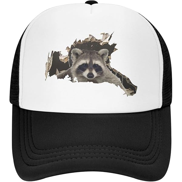 Chaos Coordinator,Funny Baseball Cap,Funny Hats,Vintage Caps,Funny Vintage Cotton Washed Baseball Caps,One Size Black At Men's Clothing Store