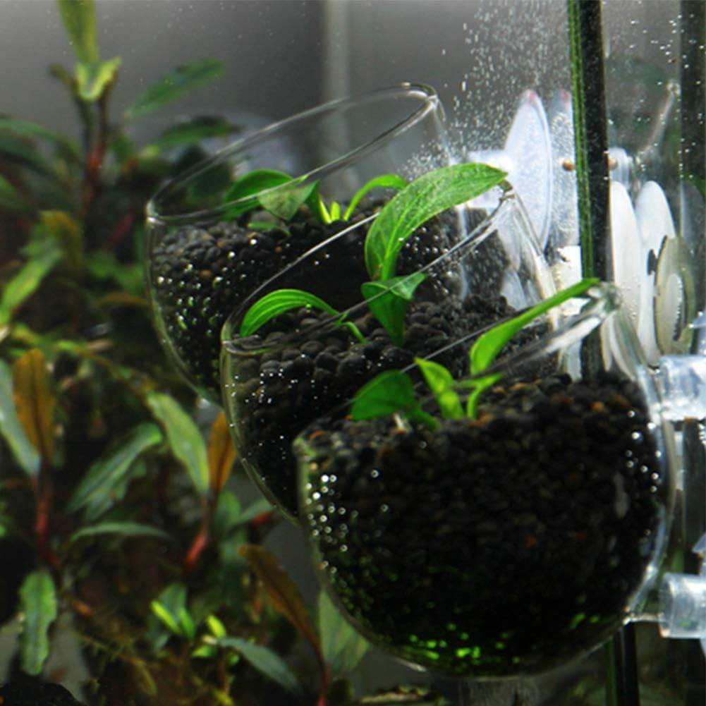 yeemeen Aquarium Plant Holder, 2Pcs Glass Plant Pot Aquarium with Suction Cups - Image 5