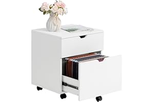 HollyHOME 2-Drawer Wood File Cabinet, Under Desk Cabinet for Home Office, Rolling Storage Shelf for Home, Printer Stand, for A4, Letter-Size, 11.8in Hanging File Folders, White