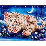 Diamond Dotz DD5.005 Artwork, Multicolor