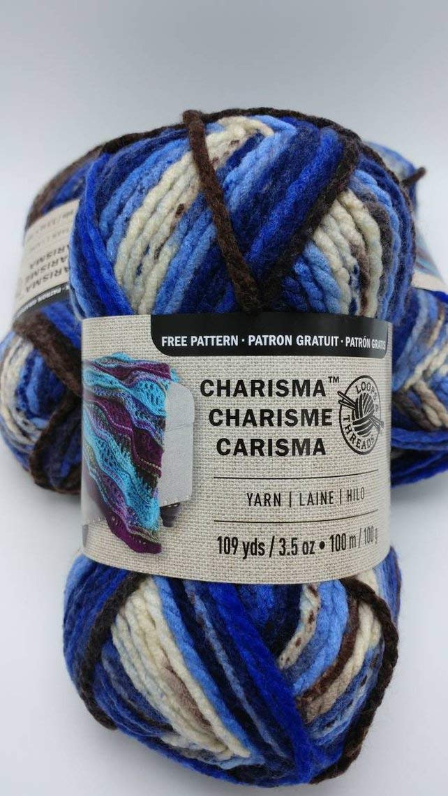 Charisma Yarn, 3.5 oz in Lakeside by Loops & Thread