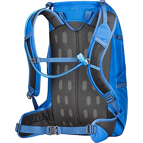 Gregory Mountain Products Men's Inertia 30 H2O Day Hiking Backpack on