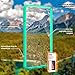 OnePlus 5 Case, Orzly Fusion Bumper Case for ONE PLUS FIVE Model SmartPhone (Original 2017 Version) Protective Hard Back Cover Shell with GREEN Impact Absorbing Rubber Rim & Clear Back Panel