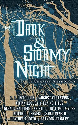 It Was A Dark & Stormy Night (Cliches For A Cause Book 1)