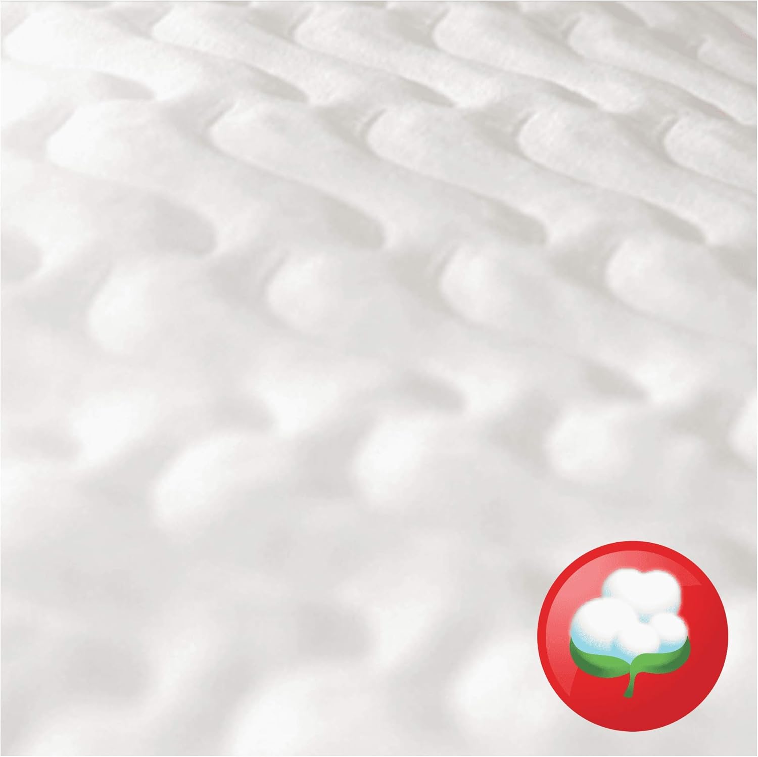 pampers pants 6 monthly pack