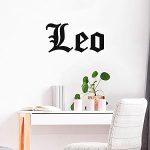 Vinyl Wall Art Decal - Leo - 11