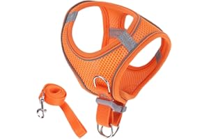 Cat Harness and Lead Set, Escape Proof Kitten Harness with Lea-sh, Adjustable Cat Har-Ness Lightweight Soft, for Safety Train