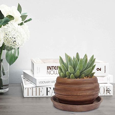 Lasaki Ceramic Planters Pots, 10.5 X 7 CM