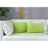 mixeoo Comfy Lime Green Throw Pillow Covers Decorative Lumbar Solid Rectangle Thick Velvet Super Soft Cushion Cases Home Decor for Sofa Couch Living Room Chair, Set of 2, 12 x 20 Inch