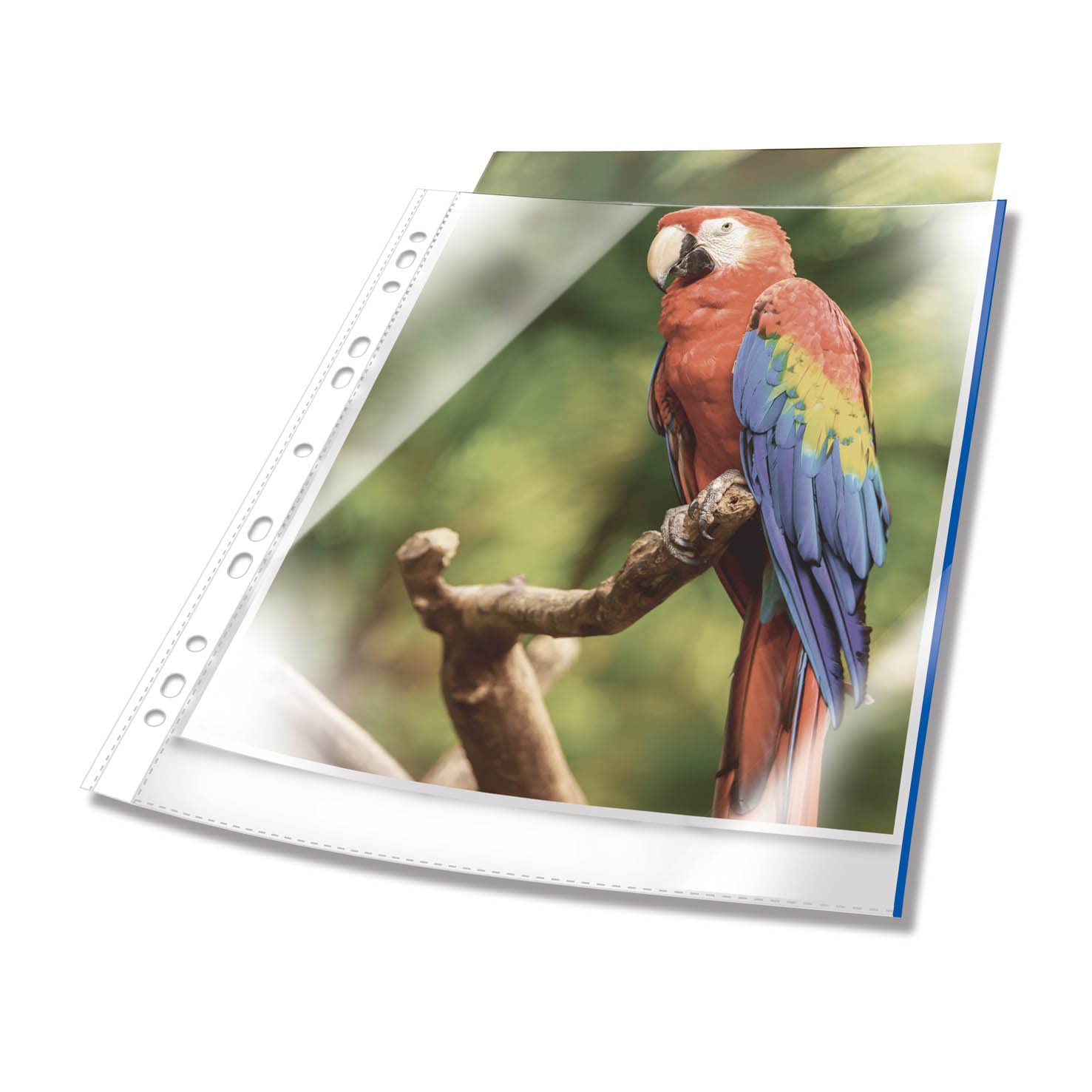 Durable Premium A4 Poly Pockets with Coloured Edge Blue - Crystal Clear and Made from PP - Pack of 100 Plastic Wallets