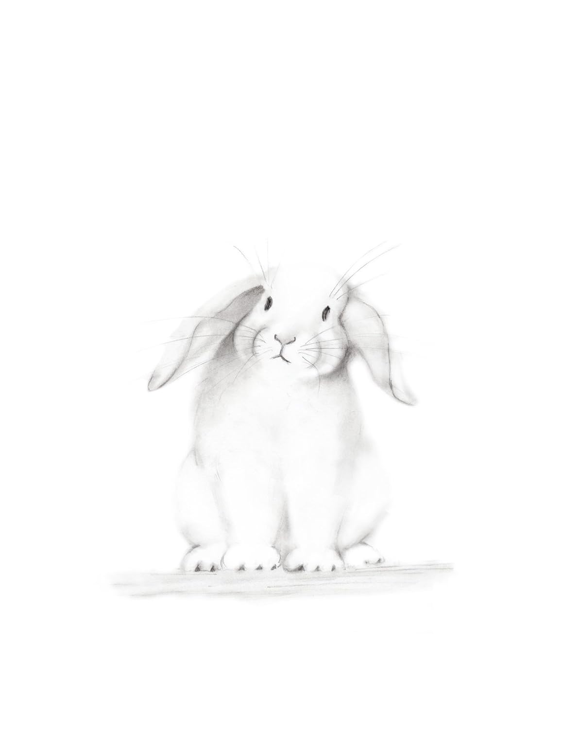 rabbit pictures for nursery