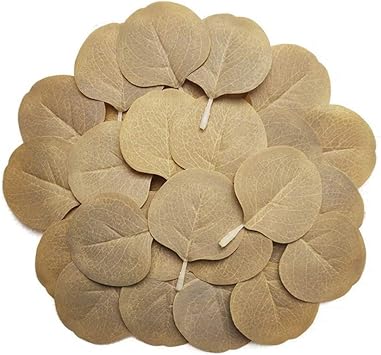 Amazon Co Jp フェイク ユーカリ 人工の葉 葉っぱ リーフ 造花 人工観葉植物 ユーカリの葉 リース 本物そっくり Diy デコ素材 インテリア 結婚式 パーティー ガーデン 装飾 部屋装飾 500枚セット 多色選択可能 カラー 13 Diy 工具 ガーデン