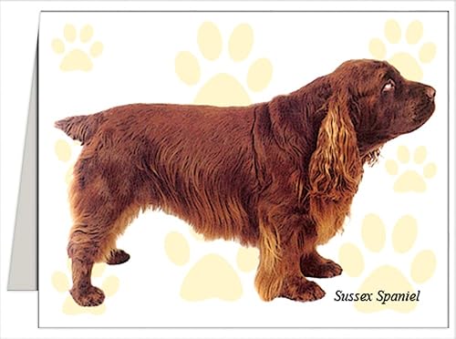sussex cocker spaniel