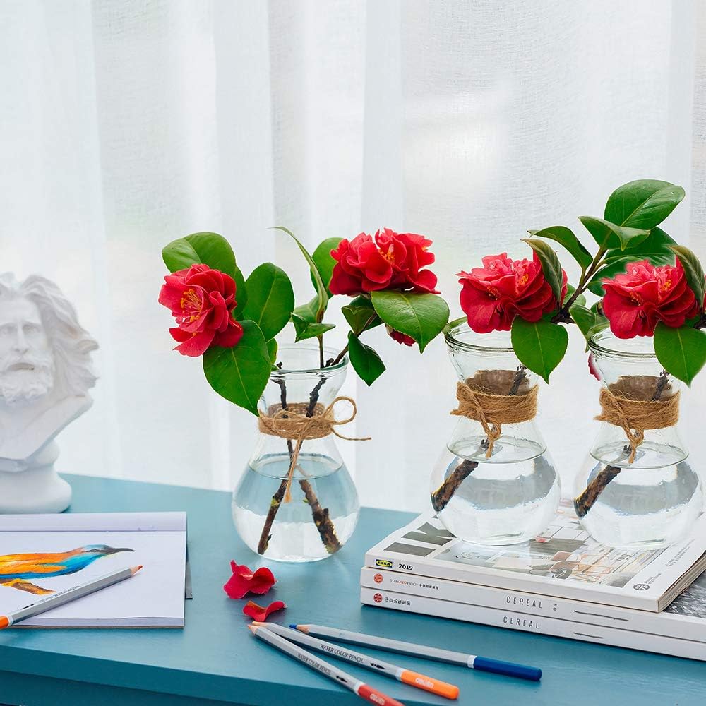 Glass Vases for Flowers with Twine Rope 3 Pcs/Set Floral Arrangements, Flower Vase Glass - Image 4