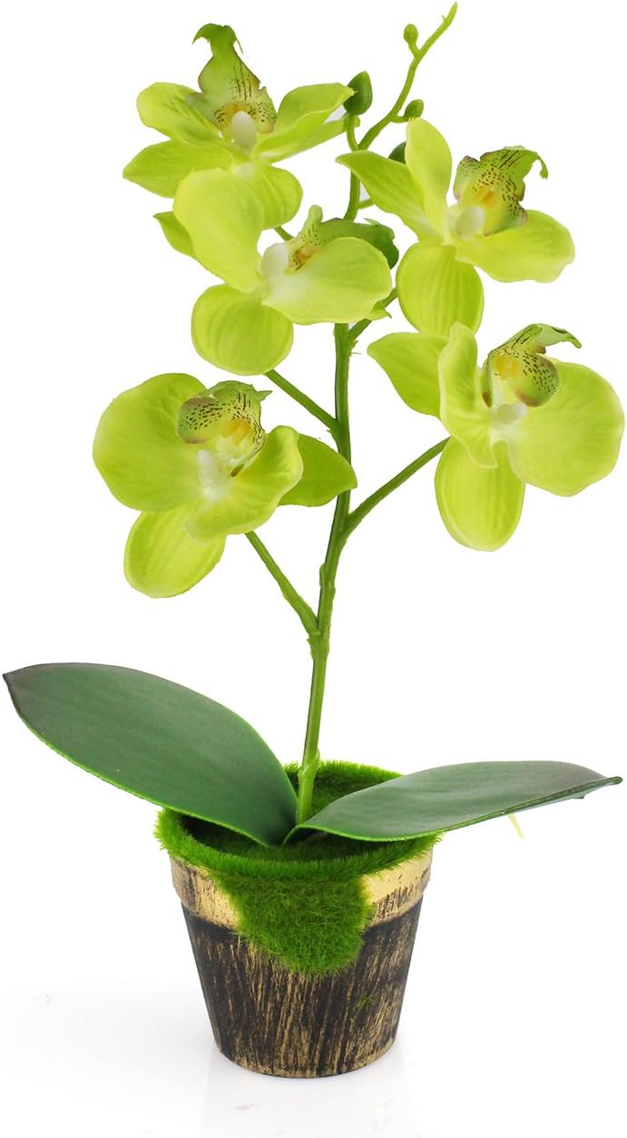 Small Realistic Silk Orchid Green Artificial Flower Arrangements with Wooden Grass Pot,5 Flower Head 1 Stem Decorative Artificial Plant for Tabletop Decoration