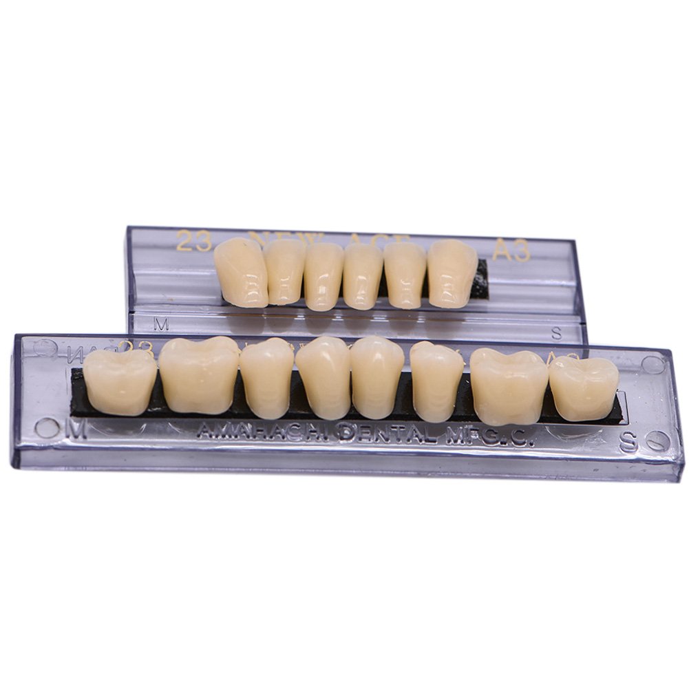 RZJZGZ 168 Pcs Dental Synthetic Resin Tooth Denture 6 Sets False Teeth for Halloween Horror Teeth 23 A3 : Beauty