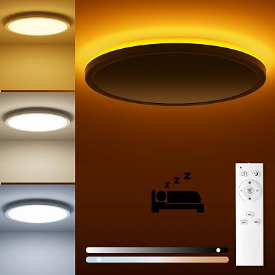 Matane LED Ceiling Light Dimmable 18W with Remote 3000K-6500K Round 8.7 in