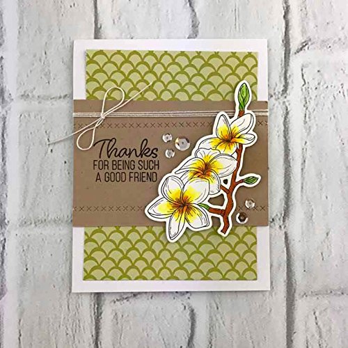 Photopolymer Stamps Card Making Supplies Frangipani Clear Stamps Flowers Rubber Stamps Scrapbooking Clear Stamps Ekoios Vn