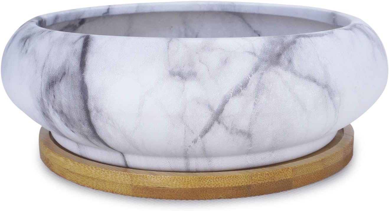 ARTKETTY Large Marble Shallow Flower Pots with Drainage Tray for Indoor Cactus Succulent Plants, 7.3" White&black - Image 3