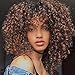Mildiso Curly Wigs for Black Women Short Curly Wigs Afro Kinky Wig Brown and Black Synthetic Hair Wig 20'' with Wig Cap M030