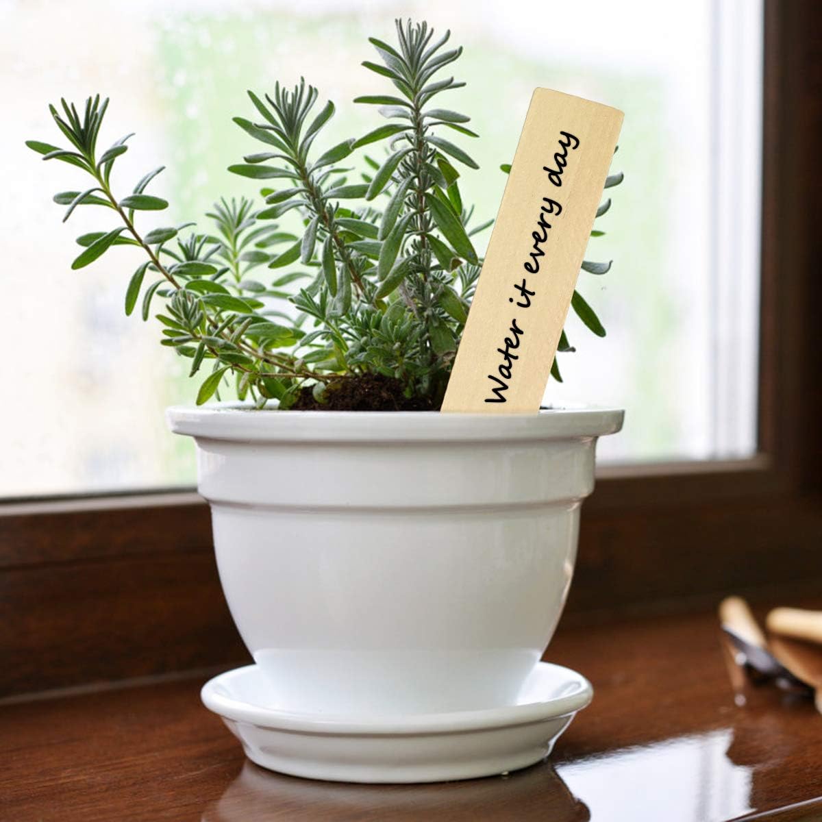 Disino 50pcs Etiquetas Plantas Madera, 15.2cmx2cm Plantas ...