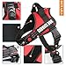 Pawshoppie Real Reflective Service Dog Vest Harness 2 Free Removable Service Dog 2 “Emotional Support” Patches, Woven Polyester & Nylon, Comfy Soft Padding (XS(Girth:18-22''), Red)