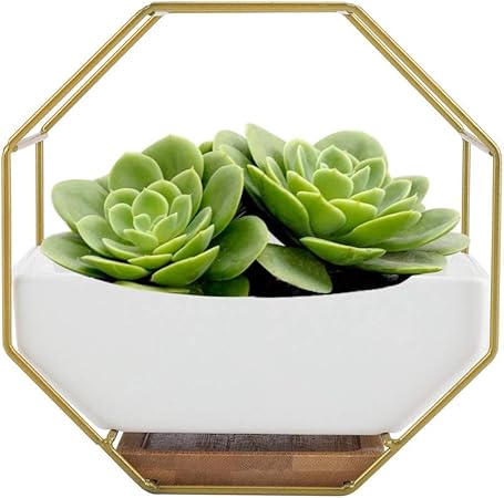 Amazon Com Hanging Planter Pot Octagonal Geometric Succulent Plants Pot Decorative Wall Mounted Flower Pot Set With Metal Stand Holder Gold Garden Outdoor