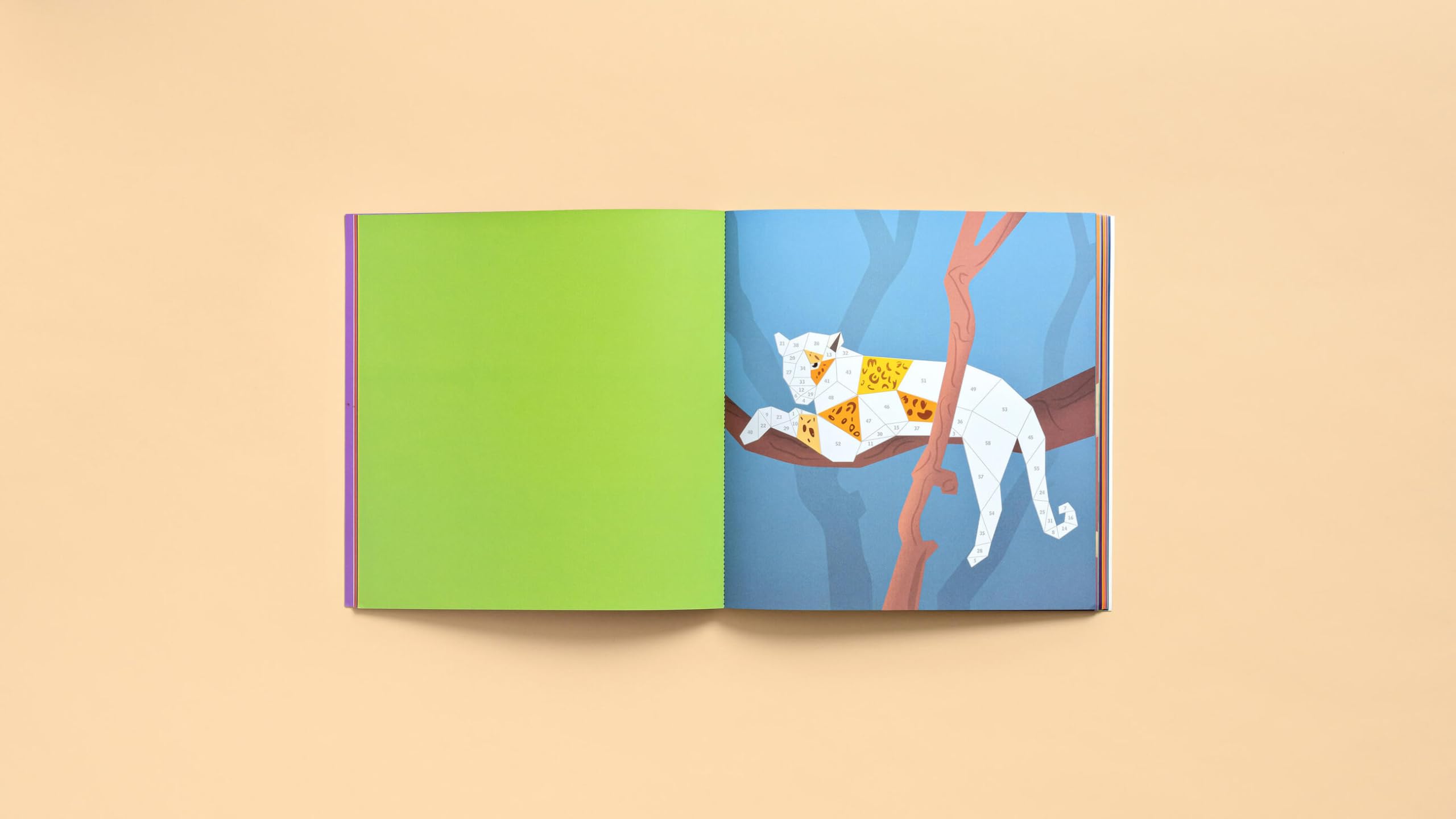 Paint by Sticker Kids: Rainforest Animals