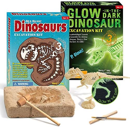 XX Dinosaur Dig Excavation Kit for Kids Normal and Glow in The Dark Dino Assembly Bone Model 2 Packs
