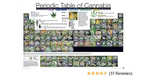 Periodic Table Of Cannabis 24x36 Poster