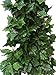 Yatim 41-Ft 5 Strands Artificial Greenery Fake Hanging Vine Plants Wild Jungle Theme Leaf Garland Hanging for Wedding Party Garden Outdoor Greenery Office Wall Decoration