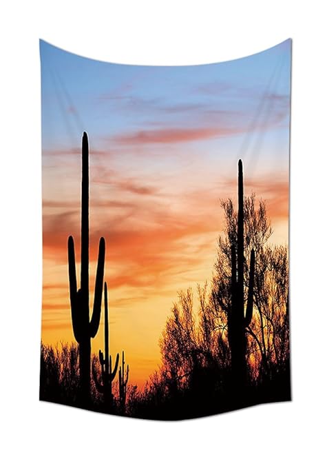 Western Decor Sunny Desert Cactus Picture Wild Nature Sunset High