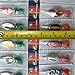 QualyQualy Fishing Spinner Assortment Fishing Lure Spinnerbait Bass Salmon Walleye Trout Spinners Lure Hard Metal Spinner Bait 1/8oz-1/6oz 30Pcs