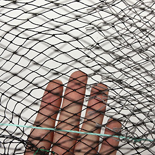30 x 60cm Foldable Crab Fish Crawdad Shrimp Minnow Fishing Bait Trap Cast Dip Net Cage,fishing trap cast net,fishing lure set,fishing tackle by Randall Elliott