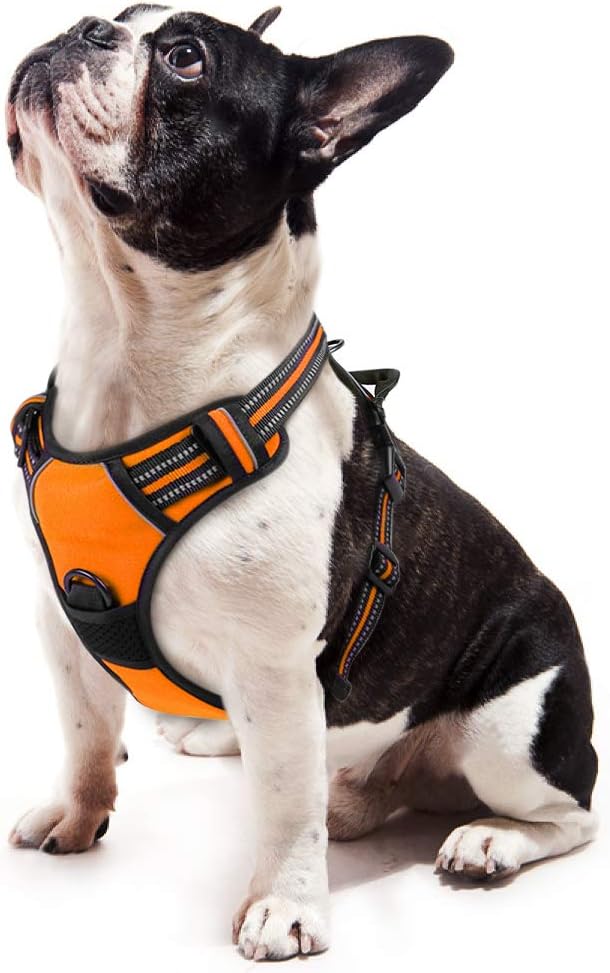 rabbitgoo Dog Harness Small Dog No Pull Pet Harness with 2 Leash Clips, Adjustable Soft Padded Pet Vest Harness