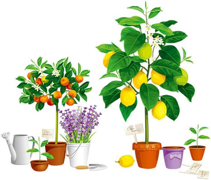 YINGYUE Simulation Lemon/Orange Tree Self-Adhesive Potted Plant Wall Sticker Home Decors