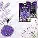 Hard Wax Beans(1.1 LB) - Anreacho Wax Beans, Full Body Wax Beans, Hair Removal Hard Wax with 10 spatulas for Face, Bikini, Legs, Underarm, Back, Chest(Lavender)