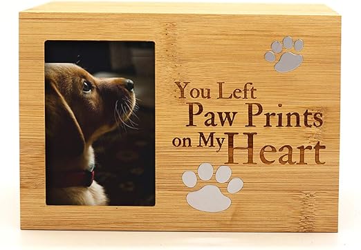 articulos para perros amazon