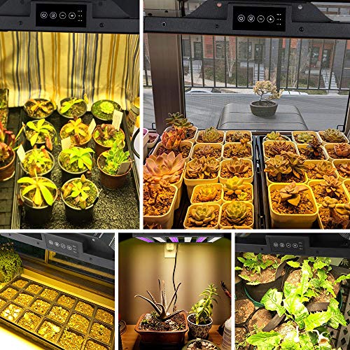 image for Duomishu 1000W LED Grow Light, Dimmable Plant Light Panel with Auto ON