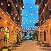 EAGWELL Outdoor Commercial String Lights, 24 Feet Heavy Duty Weatherproof Vintage Patio Lights - 12 Hanging Sockets with 14 Bulbs UL Certification Backyard Lighting Perfect Patio Garden or Party