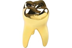 KOUYOT Dental Tooth Model Decoration for Office Tooth Model Gift for Display Decoration Clinic Desktops Dental Student Gift(Golden)