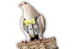 Bev's Bird Boutique Regular Flyper Adjustable Bird Diaper | Reusable, Washable Cloth | Comfort Fit for Parrot, Cockatiels, & Other Small Birds | Fashionable Avian Accessories, Retro Tux, Size 7.5