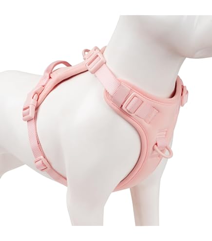 No-Pull Adjustable Dog Harness – Neoprene, Breathable, 2 Leash Clips (Cream, Medium)