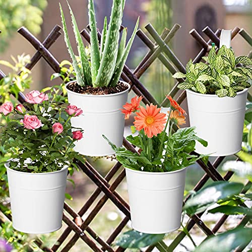 MorTime 10 Pack Metal Hanging Bucket Planter with Hook, 4 Inches Mini