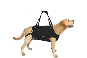 Coodeo Dog Lift Harness, Pet Support & Rehabilitation Sling Lift Adjustable Padded Breathable Straps for Old, Disabled, Joint Injuries, Arthritis, Loss of Stability Dogs Walk (Black, XL)