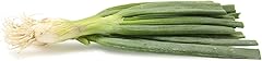 Produce Organic White Spring Onion Bunch