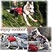 Dog Detachable Backpack Hound Saddlebag for Service Dog Travel Camping Hiking Training,Rucksack with 2 Removable Bags for Carrying Poop Bags and a Small First Aid Bag for Large Breeds-M
