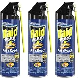Raid Max Ant and Roach Spray, 14.5 Ounce (Pack of 3)