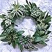 6 Pcs Faux Seeded Eucalyptus Leaves Spray Fake Artificial Eucalyptus Leaves Greenery Stems Bulk in Green 25
