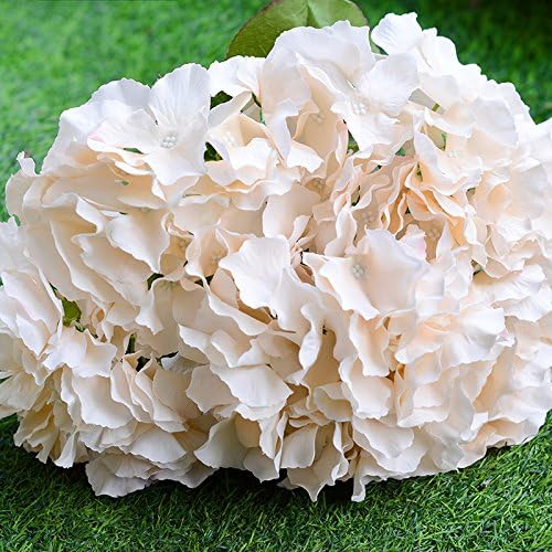 Xrapid(TM) 5 Heads artificial Titus hydrangea flower silk flower wedding bouquet decoration flowers with fake leaf [ Champagne ]